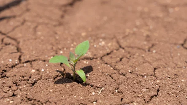 water scarcity