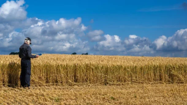 crop