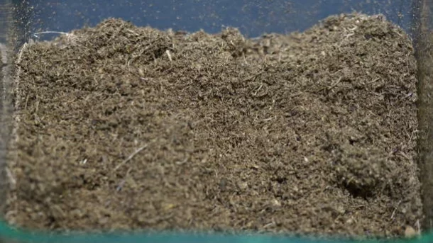 gypsum